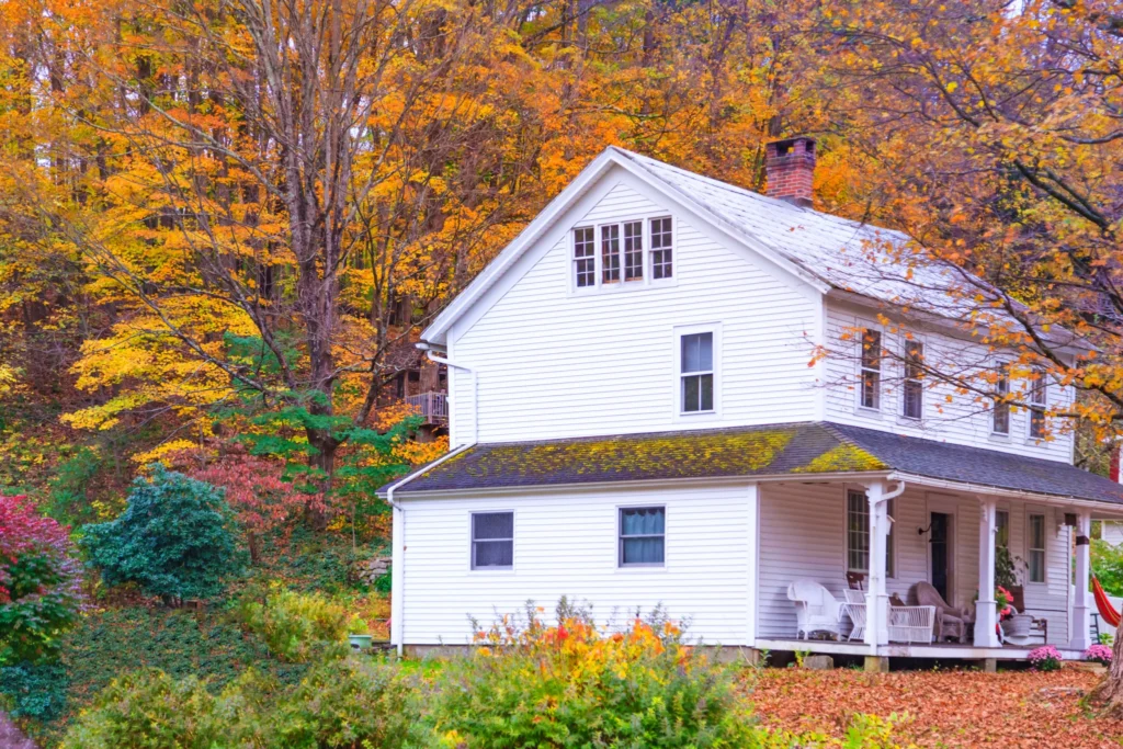 Abandoned Properties for Sale
