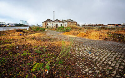 Deciphering the Enigma: Ways To Obtain Free Abandoned Land