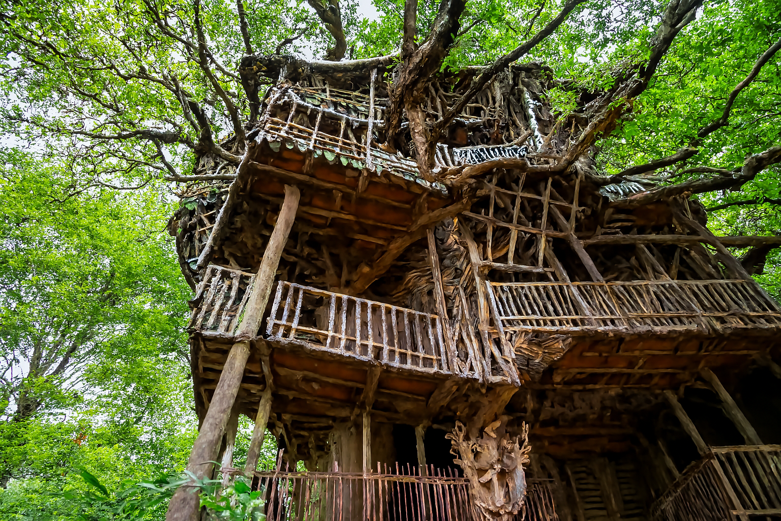Treehouse